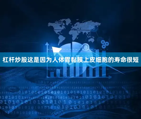 杠杆炒股这是因为人体胃黏膜上皮细胞的寿命很短