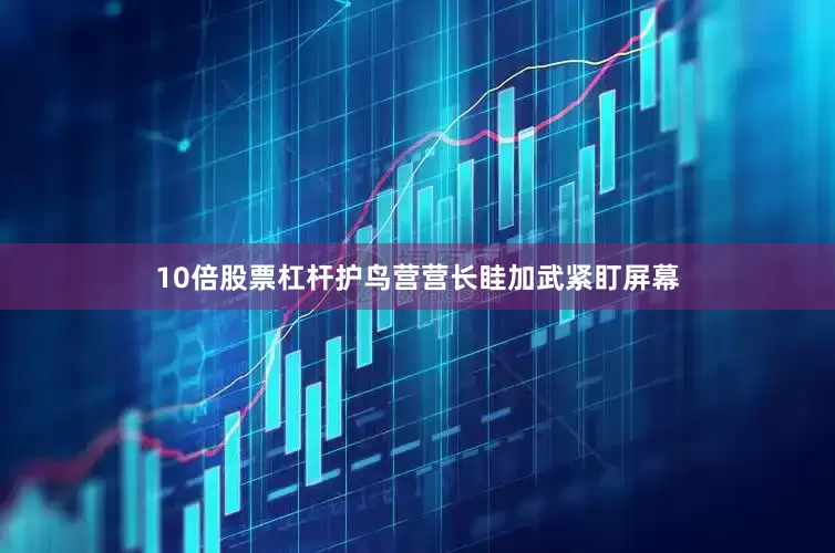 10倍股票杠杆护鸟营营长眭加武紧盯屏幕