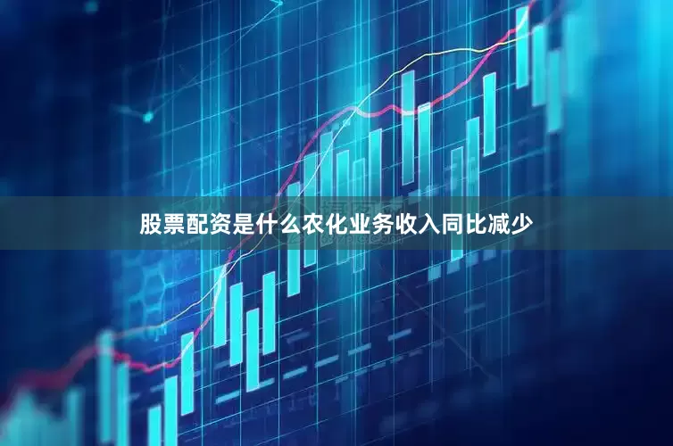 股票配资是什么农化业务收入同比减少