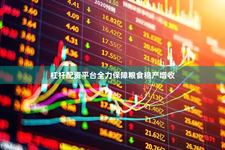 杠杆配资平台全力保障粮食稳产增收