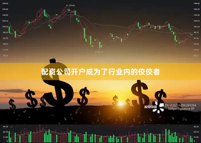 配资公司开户成为了行业内的佼佼者