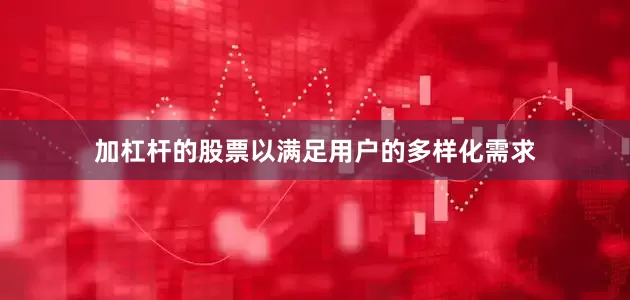 加杠杆的股票以满足用户的多样化需求